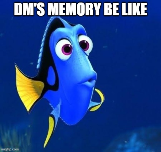 dory forgets | DM'S MEMORY BE LIKE | image tagged in dory forgets | made w/ Imgflip meme maker