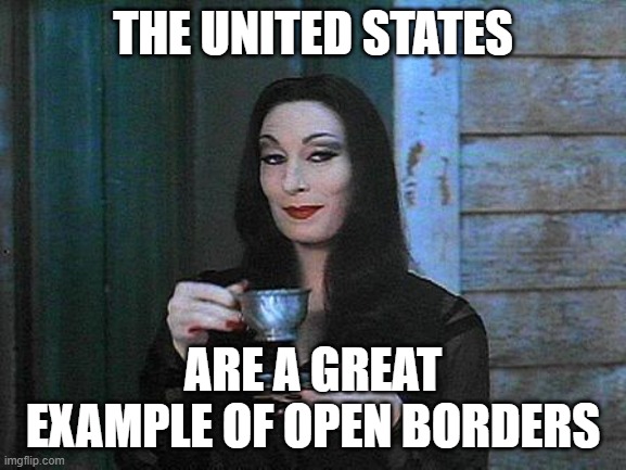 Morticia drinking tea | THE UNITED STATES ARE A GREAT EXAMPLE OF OPEN BORDERS | image tagged in morticia drinking tea | made w/ Imgflip meme maker