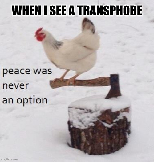 Also applicable to homophobes, racists... | WHEN I SEE A TRANSPHOBE | image tagged in peace was never an option,lgbtq | made w/ Imgflip meme maker