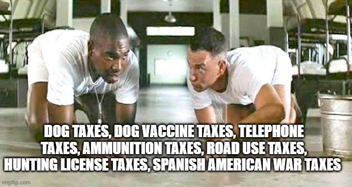 Buba | DOG TAXES, DOG VACCINE TAXES, TELEPHONE TAXES, AMMUNITION TAXES, ROAD USE TAXES, HUNTING LICENSE TAXES, SPANISH AMERICAN WAR TAXES | image tagged in buba | made w/ Imgflip meme maker