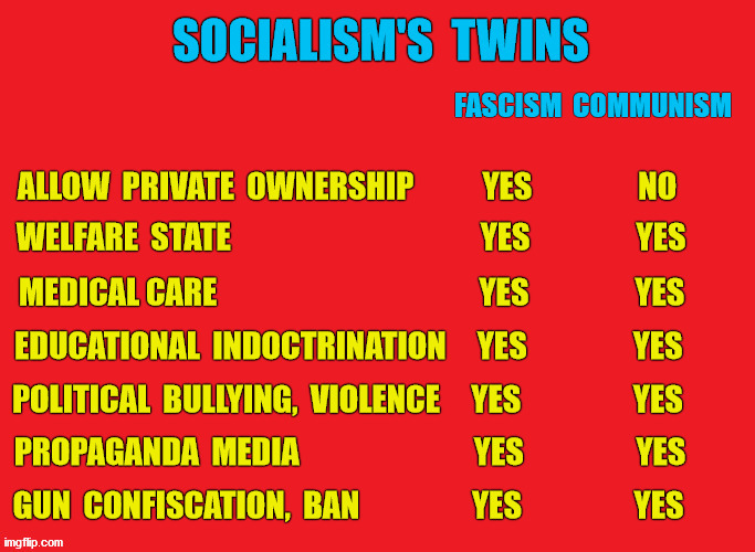 Fascism and Communism are almost identical | image tagged in progressive,liberal,socialist,antifa,fascism,communism | made w/ Imgflip meme maker
