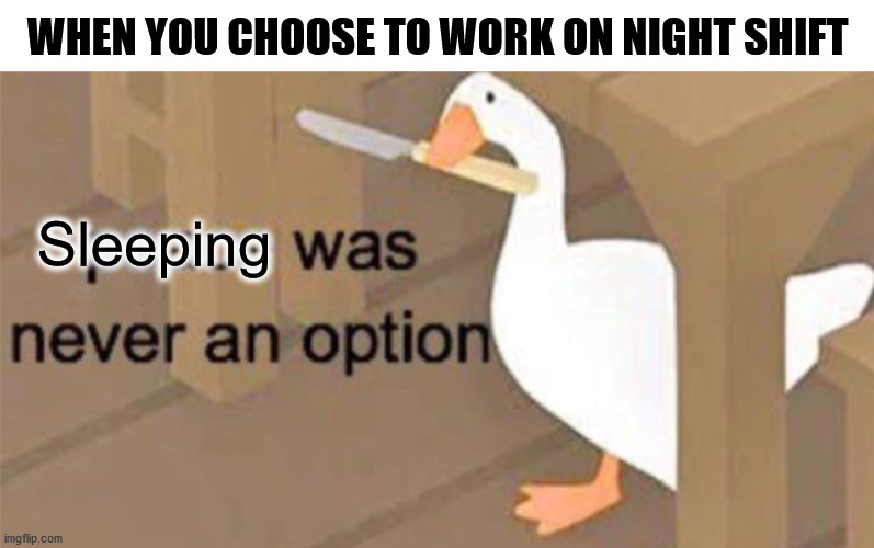 Sleeping was never an option | WHEN YOU CHOOSE TO WORK ON NIGHT SHIFT; Sleeping | image tagged in untitled goose peace was never an option | made w/ Imgflip meme maker