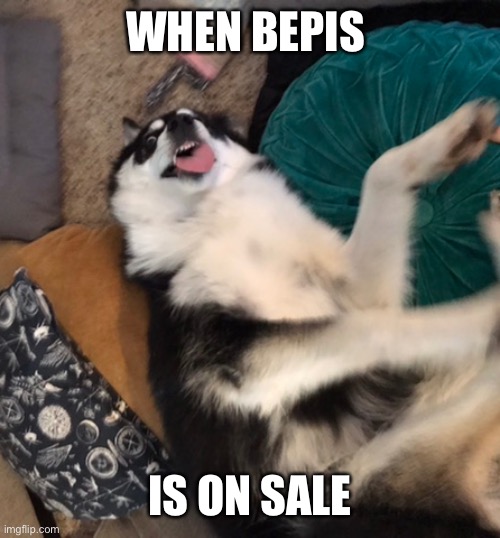 Bepis | WHEN BEPIS; IS ON SALE | image tagged in silly doggo | made w/ Imgflip meme maker