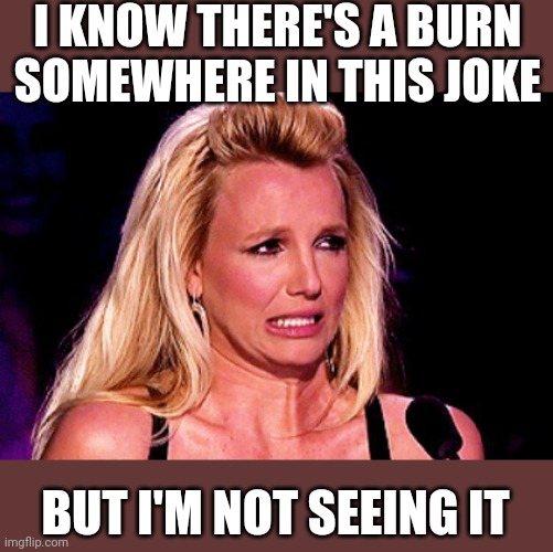 Britney spears | I KNOW THERE'S A BURN SOMEWHERE IN THIS JOKE BUT I'M NOT SEEING IT | image tagged in britney spears | made w/ Imgflip meme maker