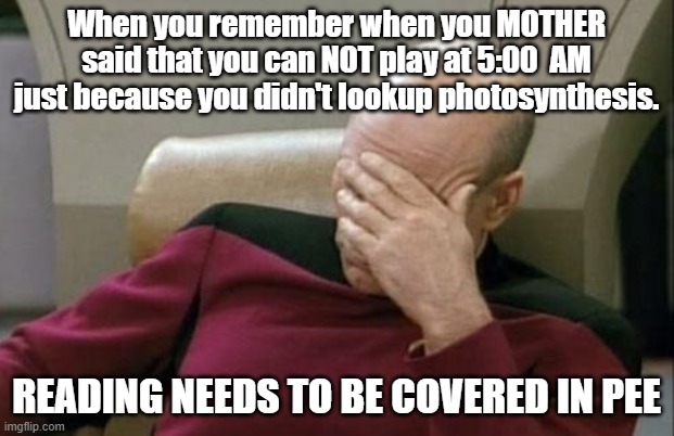 Photosynthesis meme | When you remember when you MOTHER said that you can NOT play at 5:00  AM just because you didn't lookup photosynthesis. READING NEEDS TO BE COVERED IN PEE | image tagged in memes,captain picard facepalm | made w/ Imgflip meme maker