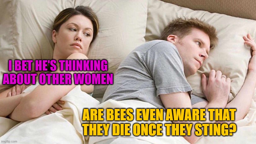 I Bet He's Thinking About Other Women Meme | I BET HE'S THINKING ABOUT OTHER WOMEN ARE BEES EVEN AWARE THAT THEY DIE ONCE THEY STING? | image tagged in i bet he's thinking about other women | made w/ Imgflip meme maker