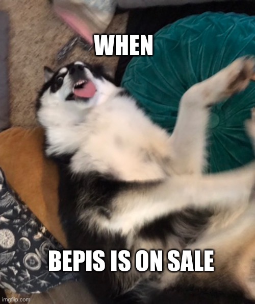 Doggo | WHEN; BEPIS IS ON SALE | image tagged in doggo | made w/ Imgflip meme maker