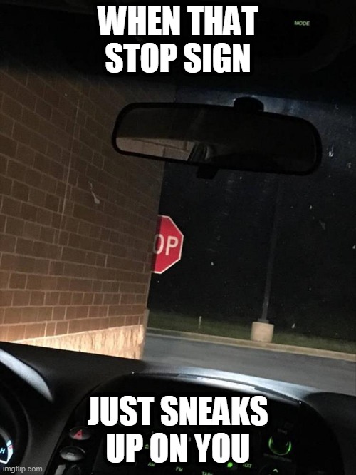 "IT CAME OUT OF NOWHERE" |  WHEN THAT STOP SIGN; JUST SNEAKS UP ON YOU | image tagged in stop sign,memes,when,stupid people | made w/ Imgflip meme maker