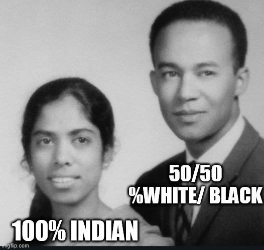 the mix | 50/50 %WHITE/ BLACK; 100% INDIAN | image tagged in the mix | made w/ Imgflip meme maker