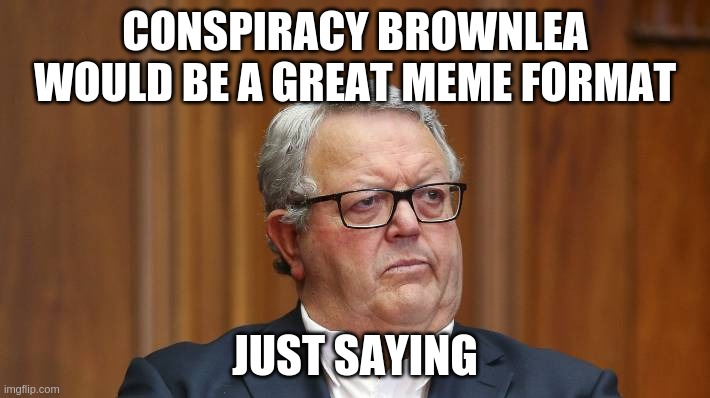 Conspiracy Brownloea | CONSPIRACY BROWNLEA WOULD BE A GREAT MEME FORMAT; JUST SAYING | image tagged in gerry,brownlea,nz,politics | made w/ Imgflip meme maker