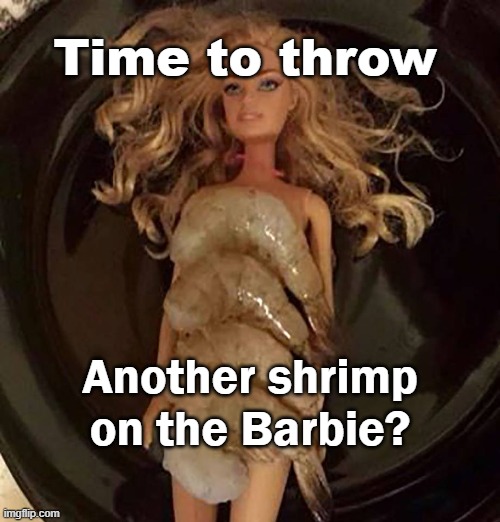 Shrimp on the Barbie | Time to throw; Another shrimp on the Barbie? | image tagged in puns,aussie,bbq | made w/ Imgflip meme maker