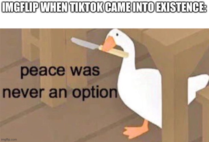 Peace was Never and option | IMGFLIP WHEN TIKTOK CAME INTO EXISTENCE: | image tagged in untitled goose peace was never an option,tiktok | made w/ Imgflip meme maker