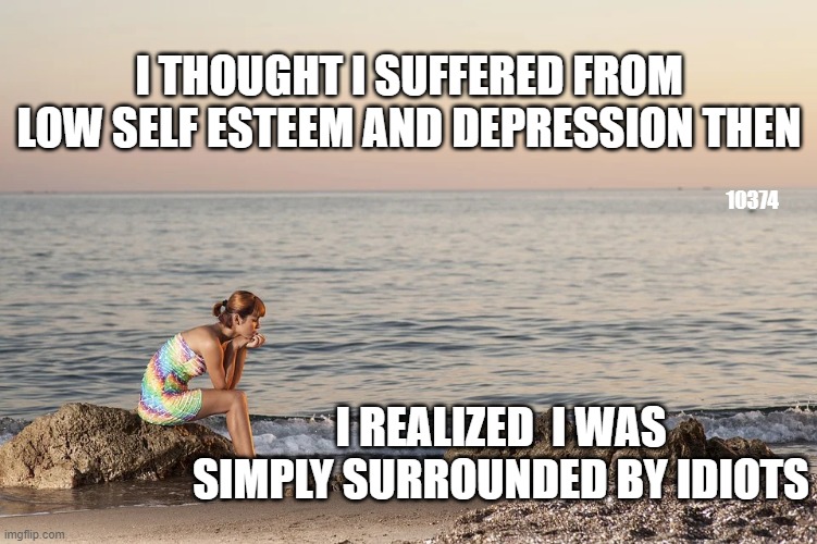 surrounded by idiots | I THOUGHT I SUFFERED FROM LOW SELF ESTEEM AND DEPRESSION THEN; 10374; I REALIZED  I WAS SIMPLY SURROUNDED BY IDIOTS | image tagged in idiots | made w/ Imgflip meme maker