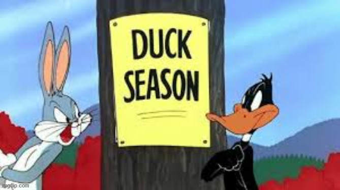 rabbit season duck season | image tagged in rabbit season duck season | made w/ Imgflip meme maker