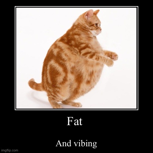 i cant post demotivationals in cats | image tagged in funny,demotivationals,cats,fat cat,oh lawd he comin,round | made w/ Imgflip demotivational maker