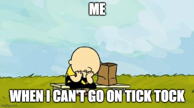 Depressed Charlie Brown | ME; WHEN I CAN'T GO ON TICK TOCK | image tagged in depressed charlie brown | made w/ Imgflip meme maker