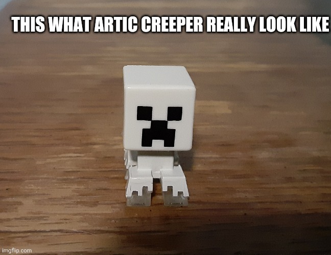 THIS WHAT ARTIC CREEPER REALLY LOOK LIKE | image tagged in artic creeper | made w/ Imgflip meme maker