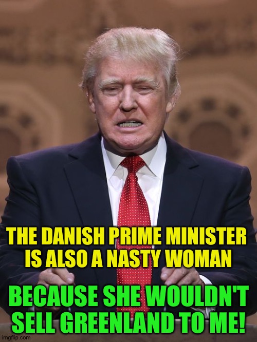Donald Trump | THE DANISH PRIME MINISTER 
IS ALSO A NASTY WOMAN BECAUSE SHE WOULDN'T SELL GREENLAND TO ME! | image tagged in donald trump | made w/ Imgflip meme maker