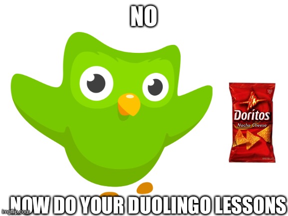 NO NOW DO YOUR DUOLINGO LESSONS | made w/ Imgflip meme maker