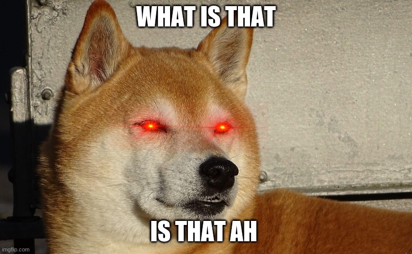 WHAT IS THAT; IS THAT AH | image tagged in shiba inu | made w/ Imgflip meme maker