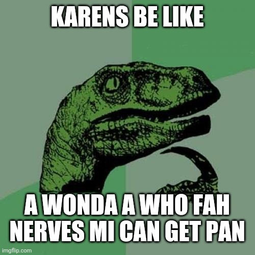 Philosoraptor | KARENS BE LIKE; A WONDA A WHO FAH NERVES MI CAN GET PAN | image tagged in memes,philosoraptor | made w/ Imgflip meme maker
