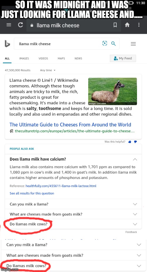 I just wanted llama cheese, and I saw the monstrosity. | SO IT WAS MIDNIGHT AND I WAS JUST LOOKING FOR LLAMA CHEESE AND..... | image tagged in llama cheese | made w/ Imgflip meme maker