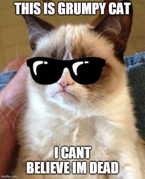 Grumpy Cat | THIS IS GRUMPY CAT; I CANT BELIEVE IM DEAD | image tagged in memes,grumpy cat | made w/ Imgflip meme maker