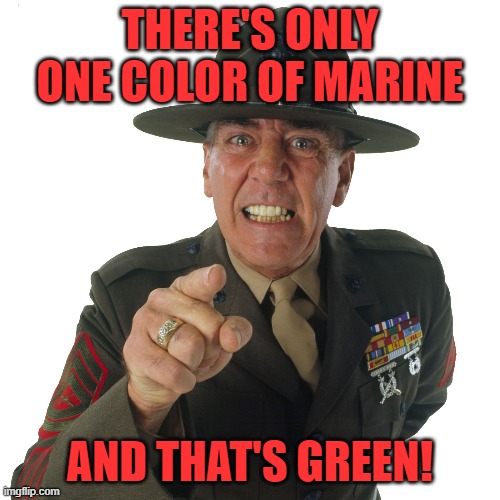 r lee ermey | THERE'S ONLY ONE COLOR OF MARINE AND THAT'S GREEN! | image tagged in r lee ermey | made w/ Imgflip meme maker