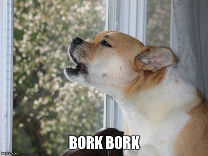 Dog barking | BORK BORK | image tagged in dog barking | made w/ Imgflip meme maker