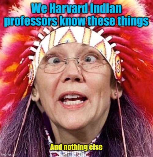 Elizabeth Warren | We Harvard Indian professors know these things And nothing else | image tagged in elizabeth warren | made w/ Imgflip meme maker