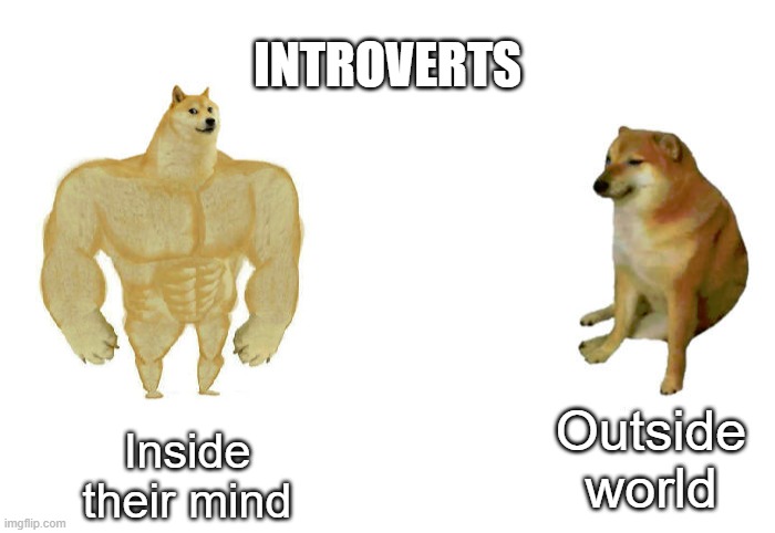 Introverts paradigm |  INTROVERTS; Inside their mind; Outside world | image tagged in then vs now,introvert | made w/ Imgflip meme maker