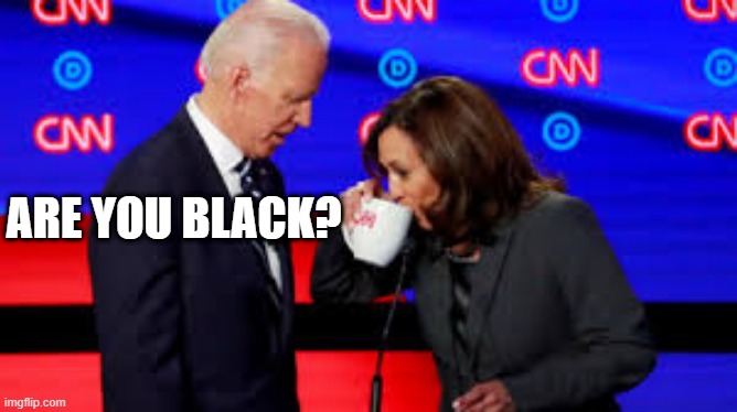 you ain't black | ARE YOU BLACK? | image tagged in joe biden | made w/ Imgflip meme maker