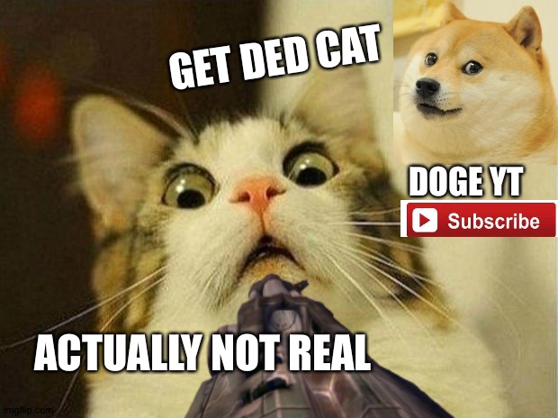 Catcockon | GET DED CAT; DOGE YT; ACTUALLY NOT REAL | image tagged in hey what is cat vs dog,noww | made w/ Imgflip meme maker