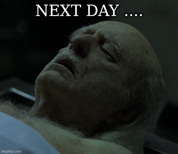 Dead | NEXT DAY .... | image tagged in dead | made w/ Imgflip meme maker