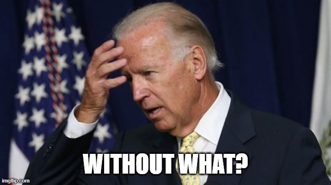 WITHOUT WHAT? | image tagged in joe biden worries | made w/ Imgflip meme maker