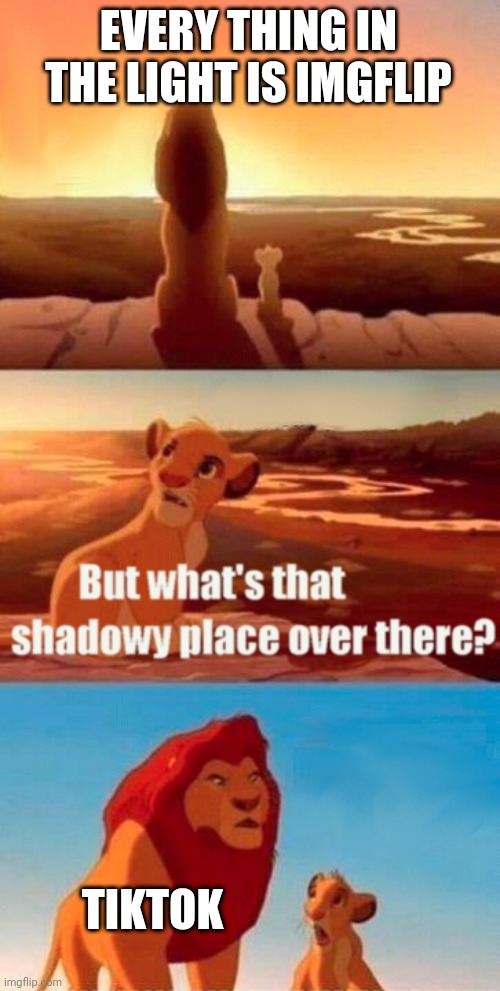 Simba Shadowy Place | EVERY THING IN THE LIGHT IS IMGFLIP; TIKTOK | image tagged in memes,simba shadowy place | made w/ Imgflip meme maker