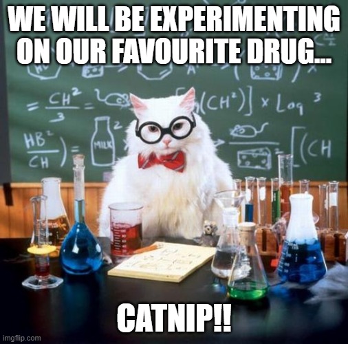 Chemistry Cat Meme | WE WILL BE EXPERIMENTING ON OUR FAVOURITE DRUG... CATNIP!! | image tagged in memes,chemistry cat | made w/ Imgflip meme maker