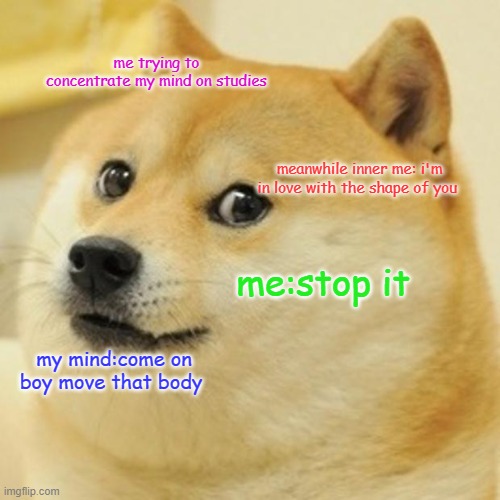 Doge | me trying to concentrate my mind on studies; meanwhile inner me: i'm in love with the shape of you; me:stop it; my mind:come on boy move that body | image tagged in memes,doge | made w/ Imgflip meme maker