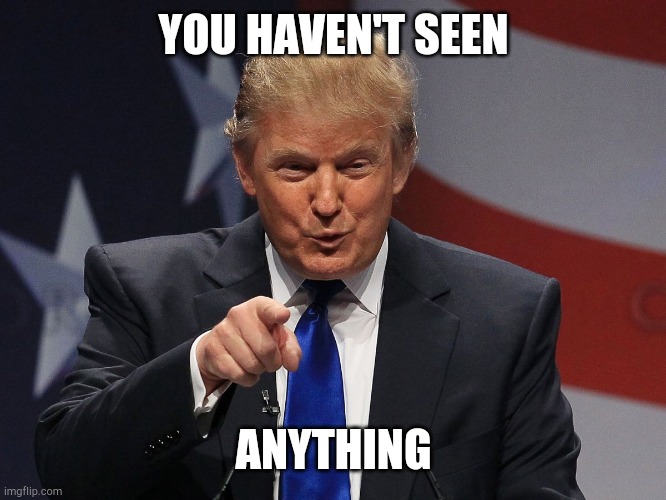 After everyone knowing Trump met with the russians but still... | YOU HAVEN'T SEEN; ANYTHING | image tagged in donald trump | made w/ Imgflip meme maker
