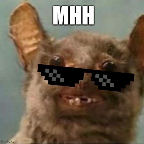 MHH | MHH | image tagged in rat,funny memes,rat meme,ugly rat,sunglasses | made w/ Imgflip meme maker