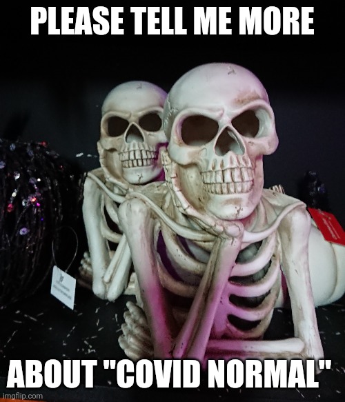 Please tell me more | PLEASE TELL ME MORE; ABOUT "COVID NORMAL" | image tagged in memes,coronavirus,covid-19,waiting skeleton,skeleton,skeleton waiting | made w/ Imgflip meme maker