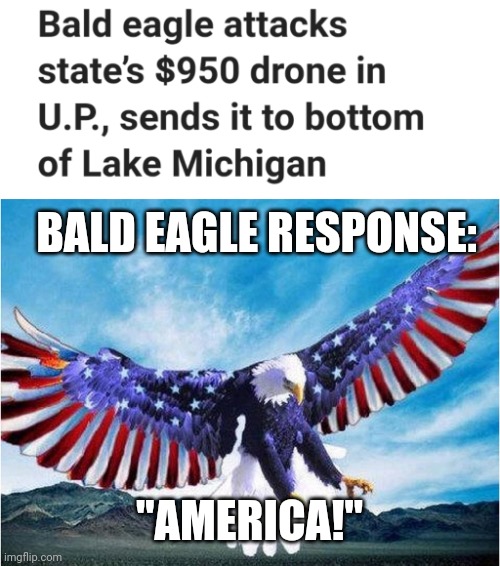Bald Eagle Attacks Drone in Michigan | BALD EAGLE RESPONSE:; "AMERICA!" | image tagged in merica eagle,drone,news,funny,lolz,america | made w/ Imgflip meme maker