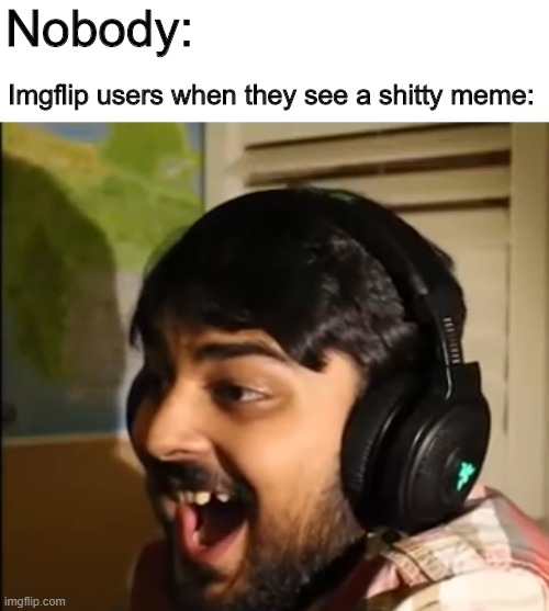 they are all stupid | Nobody:; Imgflip users when they see a shitty meme: | image tagged in mutahar laughing | made w/ Imgflip meme maker