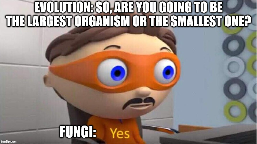 Protegent Yes | EVOLUTION: SO, ARE YOU GOING TO BE THE LARGEST ORGANISM OR THE SMALLEST ONE? FUNGI: | image tagged in protegent yes | made w/ Imgflip meme maker