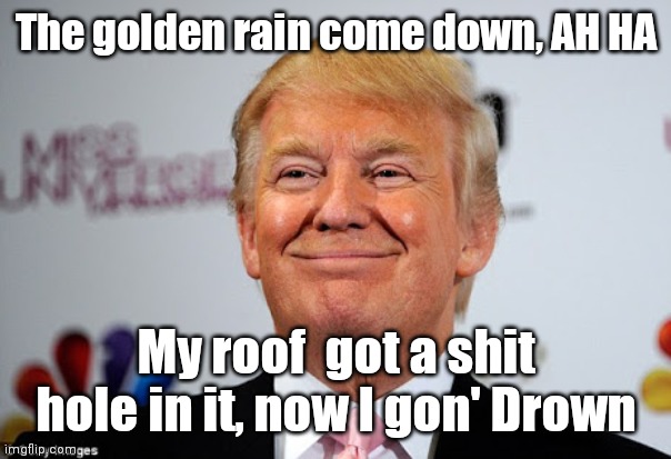Donald trump approves | The golden rain come down, AH HA; My roof  got a shit hole in it, now I gon' Drown | image tagged in donald trump approves | made w/ Imgflip meme maker