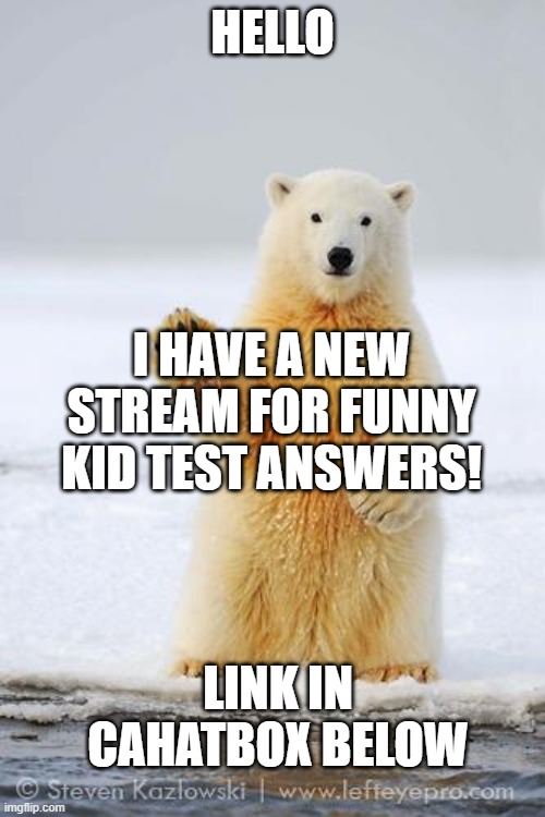 Follow th fun kid test answers stream! | HELLO; I HAVE A NEW STREAM FOR FUNNY KID TEST ANSWERS! LINK IN CAHATBOX BELOW | image tagged in hello polar bear | made w/ Imgflip meme maker