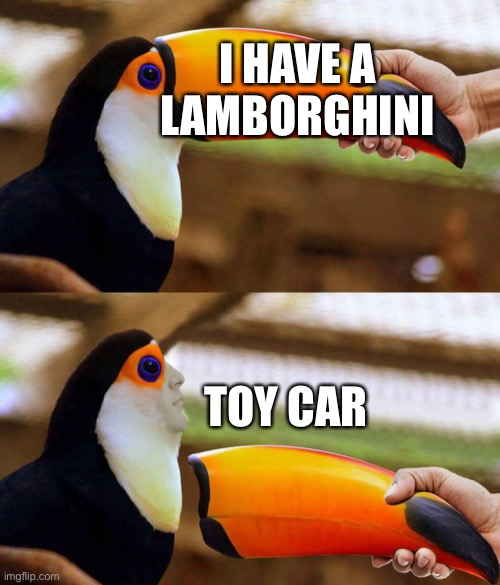 Now you can brag with your friends. | I HAVE A LAMBORGHINI; TOY CAR | image tagged in toucan beak | made w/ Imgflip meme maker