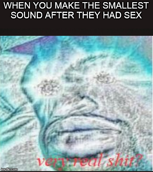 WHEN YOU MAKE THE SMALLEST SOUND AFTER THEY HAD SEX | image tagged in blank template | made w/ Imgflip meme maker