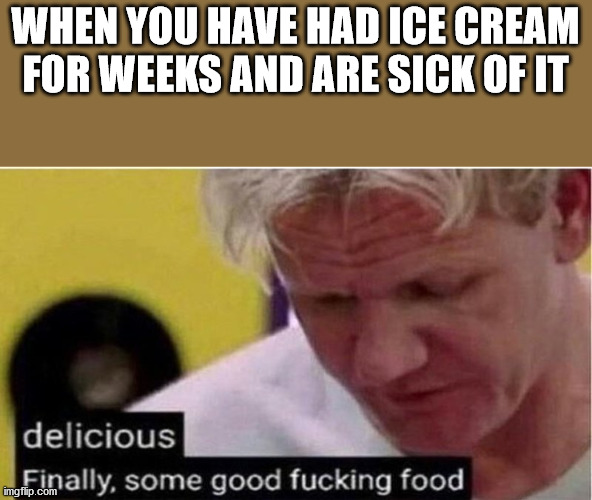 Gordon Ramsay some good food | WHEN YOU HAVE HAD ICE CREAM FOR WEEKS AND ARE SICK OF IT | image tagged in gordon ramsay some good food | made w/ Imgflip meme maker