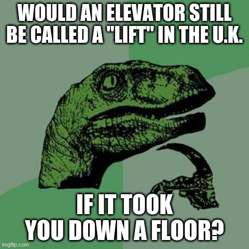 Because isn't "lower" the opposite of "lift"? | WOULD AN ELEVATOR STILL BE CALLED A "LIFT" IN THE U.K. IF IT TOOK YOU DOWN A FLOOR? | image tagged in memes,philosoraptor,elevator,lift,uk,british | made w/ Imgflip meme maker